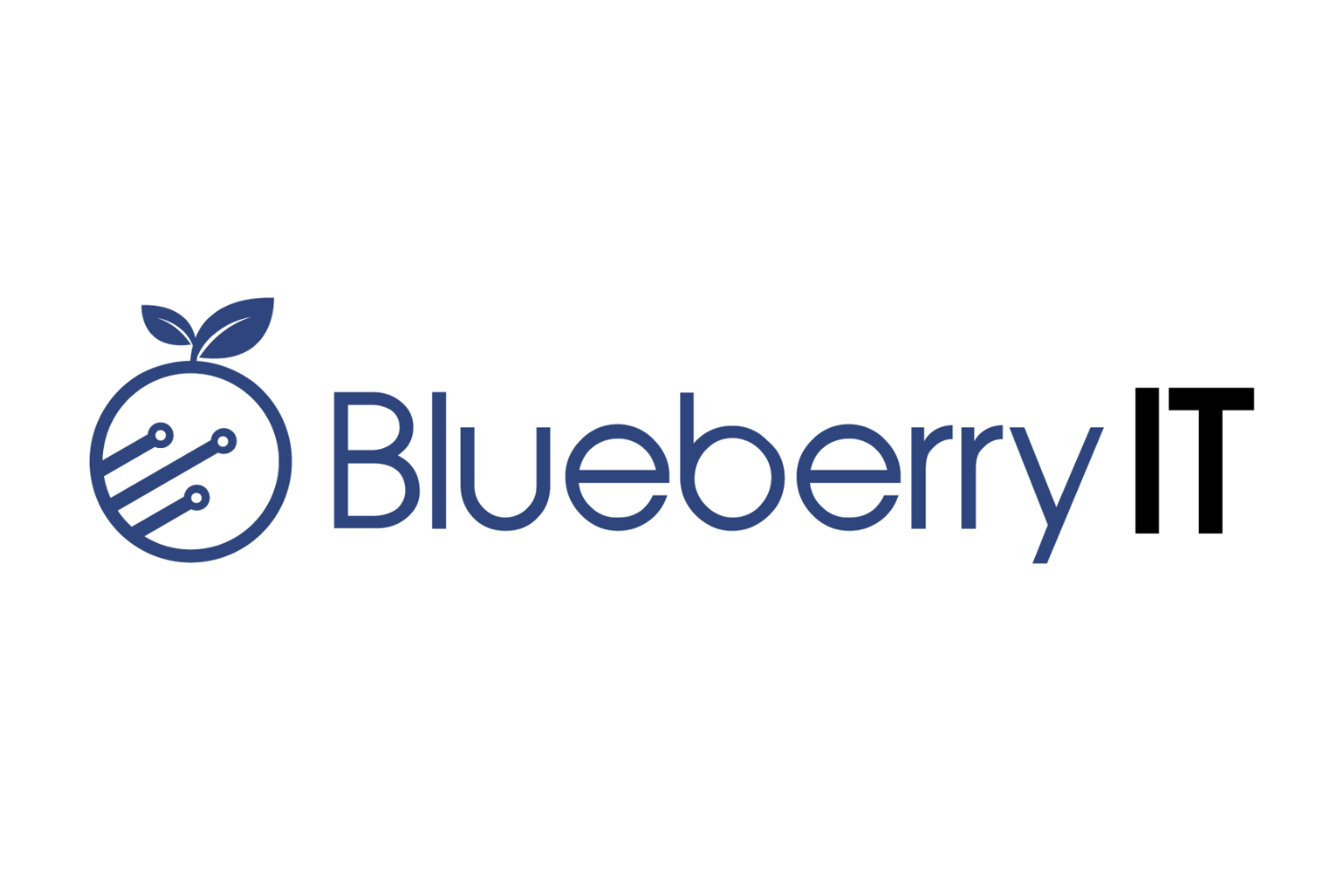 https://www.blueberry-it.net/